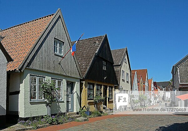 Häuserzeile  Fischersiedlung Holm  Schleswig  Schleswig-Holstein  Deutschland  Europa