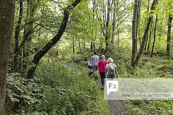 Family walking with baby carriage in forest