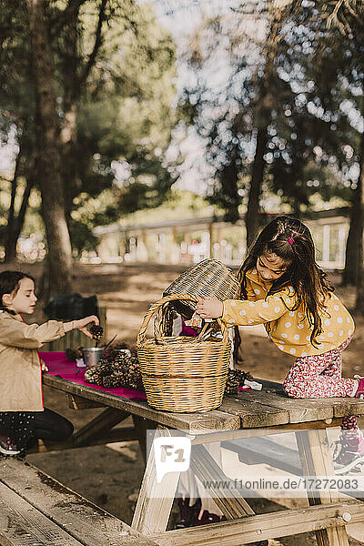 Girl collecting pine cone in wicker baskets at picnic table