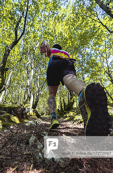 Male athlete practicing trail running on path of mountain at forest