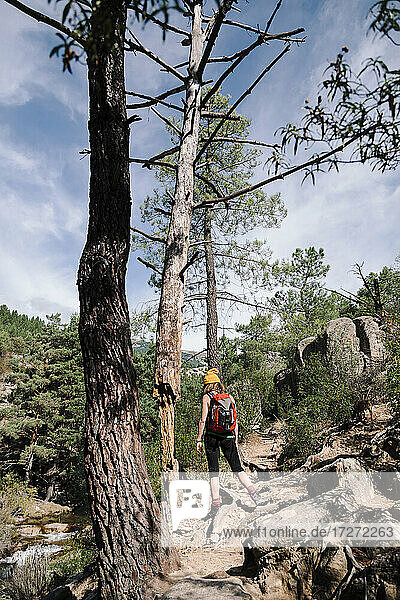 Wanderin mit Rucksack auf einem Felsenpfad im Wald bei La Pedriza  Madrid  Spanien