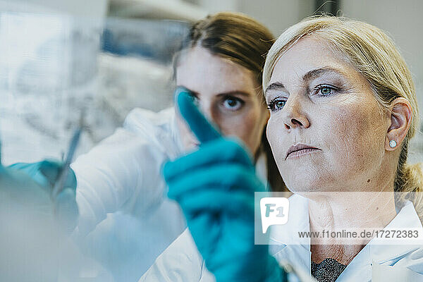 Scientist and assistant discussing while examining human brain microscope slide at laboratory