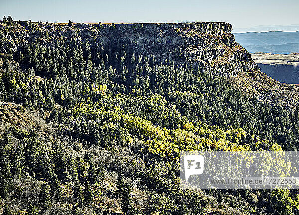 USA  Colorado  Luftaufnahme des bewaldeten Bergrückens von Fishers Peak