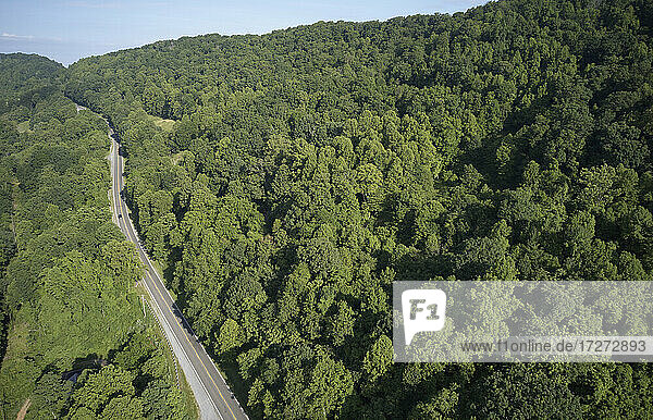 Luftaufnahme der U.S. Route 58  die sich über den grünen Bergwald erstreckt