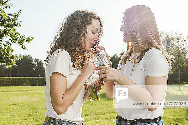 Glückliche Freundinnen teilen sich an einem sonnigen Tag Limonaden im Park