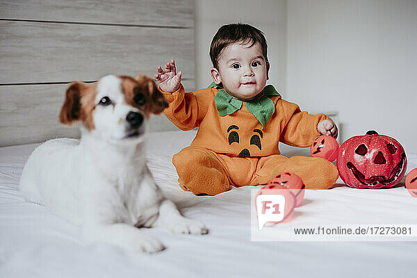Baby boy wearing halloween costume sitting with dog on bed at home