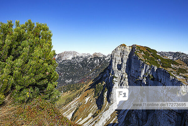 Felsen des Toten Gebirges vor klarem blauen Himmel  Altaussee  Salzkammergut  Steiermark  Österreich