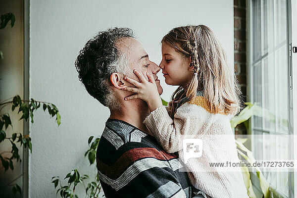 Daughter rubbing nose with father while standing by window at home