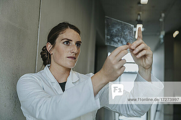 Weibliche Wissenschaftlerin  die eine Glasprobe des menschlichen Gehirns untersucht  während sie in einem Klinikkorridor steht
