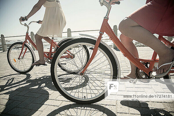 Female friends cycling bicycle on promenade during sunny day