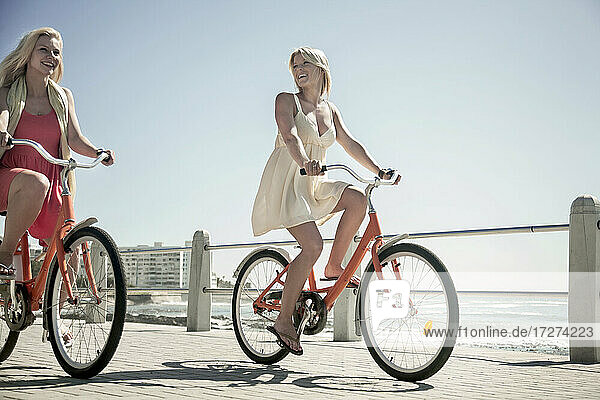 Female friends cycling on promenade at beach against clear sky during sunny day