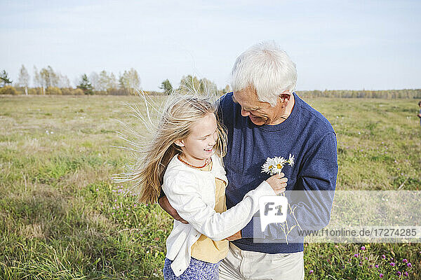 Glücklicher Großvater mit Enkelin  die Kamillenblüten auf einem Feld hält