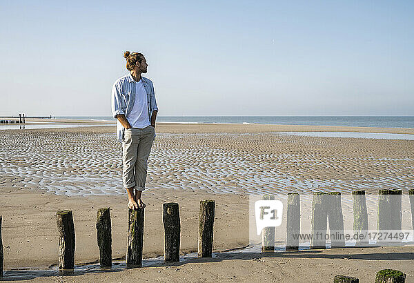Junger Mann  der auf einem Holzpfosten am Strand steht und die Aussicht gegen den klaren Himmel betrachtet