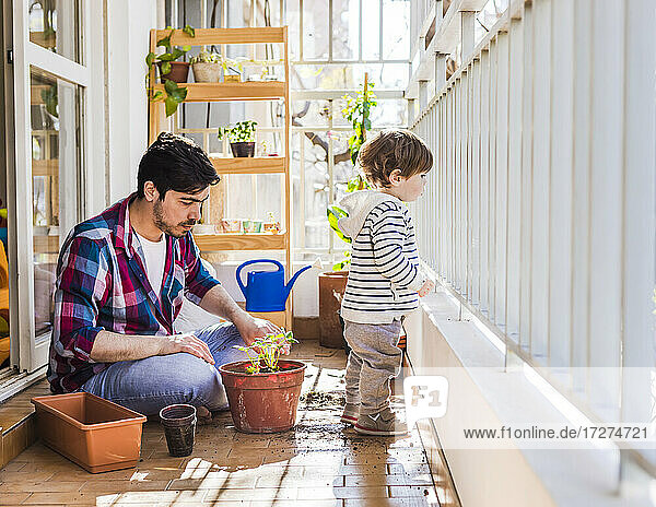 Vater pflanzt eine Pflanze in einen Topf  während der Junge am Balkongeländer steht und hinausschaut
