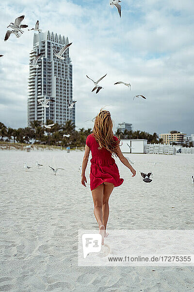 Seagull flying while woman walking on sand against sky at beach