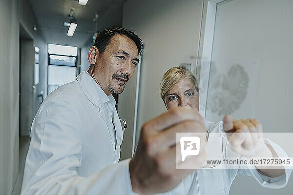 Arzt und Wissenschaftler diskutieren über eine Hirnglasprobe  während sie auf dem Klinikflur stehen