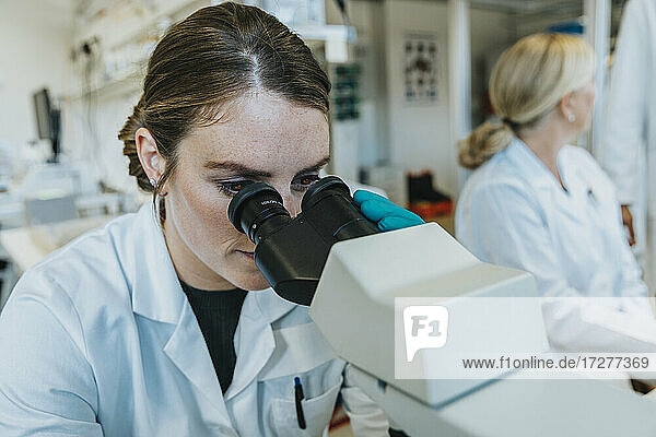 Assistentin  die einen Objektträger mit menschlichem Gehirn unter dem Mikroskop analysiert  während sie mit einem Wissenschaftler im Hintergrund im Labor sitzt