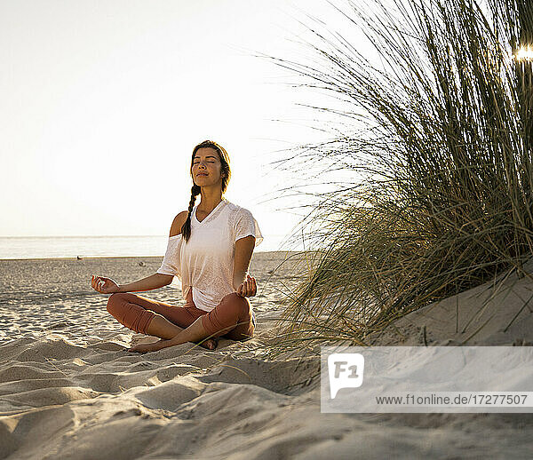 Beautiful young woman practicing yoga while sitting by plant on sand at beach against clear sky during sunset