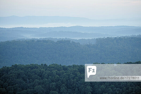 Luftaufnahme des in Morgennebel gehüllten Waldes in den Appalachen