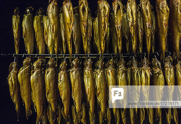 View of golden fishes hanging on rack in smokehouse