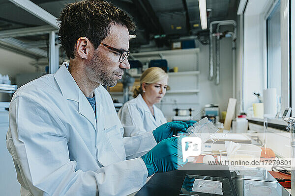 Mann hält Mikroskop-Objektträger des menschlichen Gehirns und sitzt neben einem Mitarbeiter im Labor