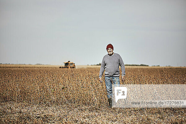 Farmer standing in soybean farm against clear sky
