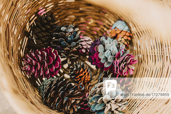 Colorful pine cones in wicker basket at park