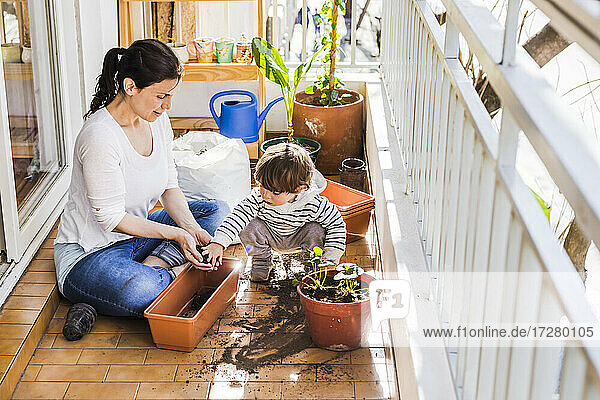 Mutter und Sohn pflanzen Samen in einen Topf  während sie auf dem Balkon sitzen