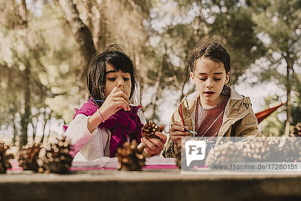 Cute sisters decorating pine cones with watercolor painting at table in park