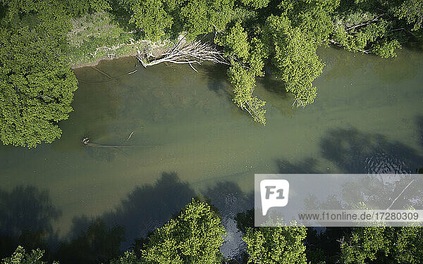 Luftaufnahme von Powell River im Sommer
