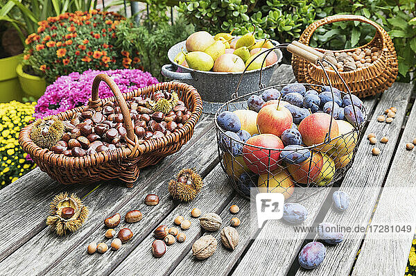 Gartentisch mit Herbsternte von Nüssen und Früchten