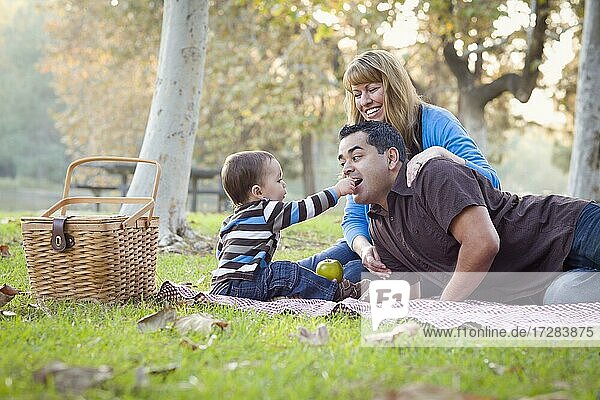 Happy young mixed-race ethnic family having a picnic in the park