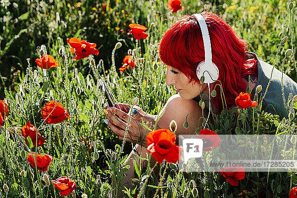 Rothaarige Frau mit Kopfhörern  die ein Smartphone benutzt  während sie auf einem Mohnfeld sitzt
