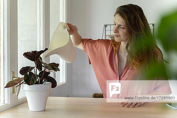 Woman watering plant on table at home