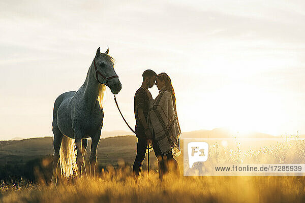 Junges Paar steht von Angesicht zu Angesicht neben einem Pferd auf einem Feld bei Sonnenuntergang