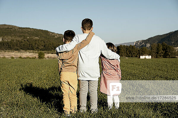 Brothers and sister standing with arms around on agricultural field