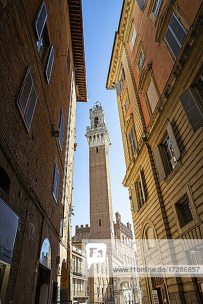 Italien  Toskana  Siena  Blick auf den zwischen zwei Stadthäusern stehenden Torre del Mangia