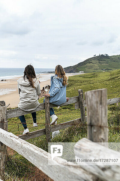 Women enjoying wine while sitting on wooden fence at beach