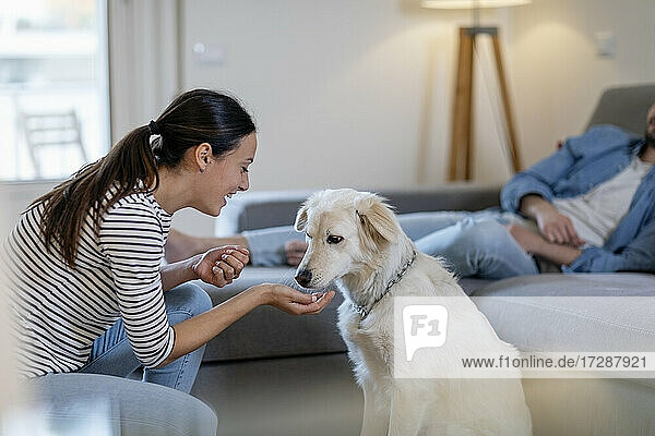 Young woman feeding dog in in living room at home