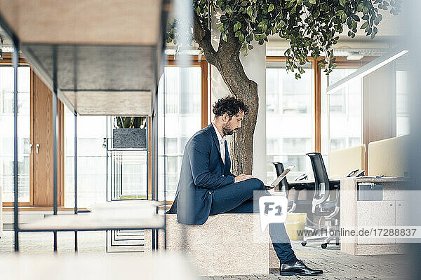 Geschäftsmann  der einen Laptop benutzt  während er an einem Baum im Büro sitzt