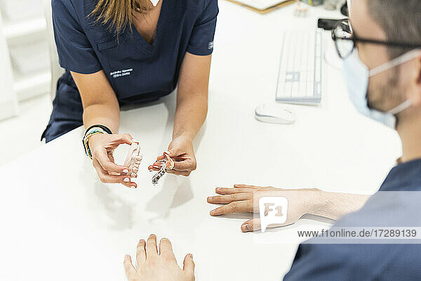Eine Zahnärztin diskutiert mit einem männlichen Kollegen am Schreibtisch in einer Klinik während einer Pandemie über ein Zahnmodell
