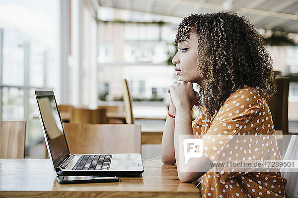 Young female professional with hands clasped looking at laptop in coffee shop