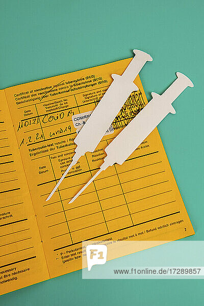 Immunization certificate and 2D paper cutouts of blank syringes