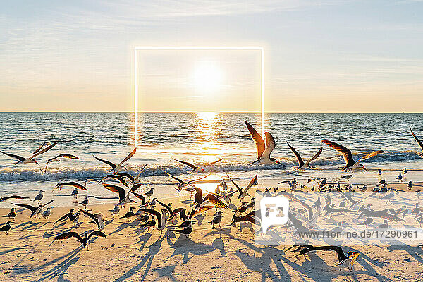 Sun setting over flock of seagulls at Lovers Key State Park beach with glowing square in background