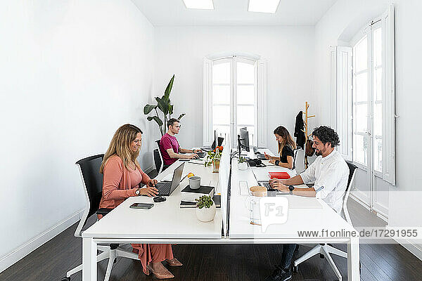 Männliche und weibliche Unternehmer arbeiten in einem modernen Büro