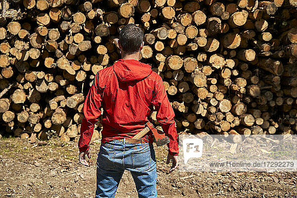 Erwachsener Mann betrachtet Baumstämme in der Holzindustrie