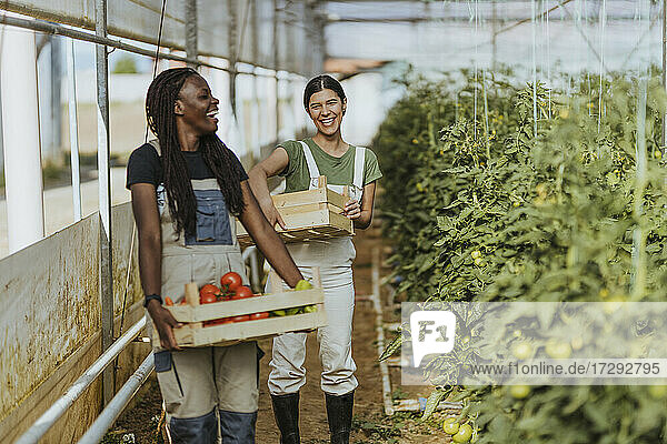 Smiling female farmers holding vegetable crates while standing at organic farm