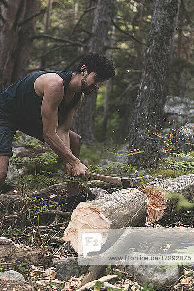Young man cutting fallen tree trunk with axe in forest