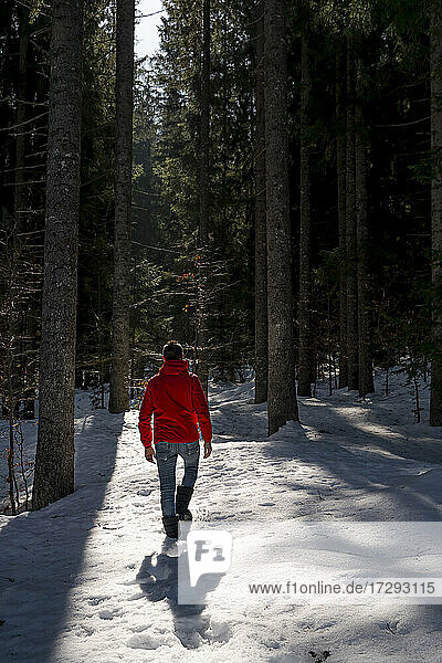 Mittlerer erwachsener Mann  der durch eine von Schnee umgebene Baumlandschaft geht