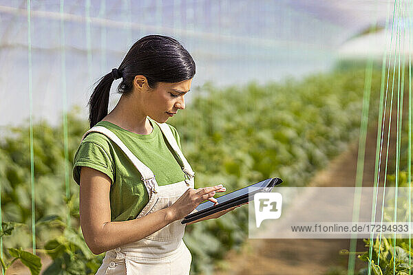 Female farmer using digital tablet in greenhouse